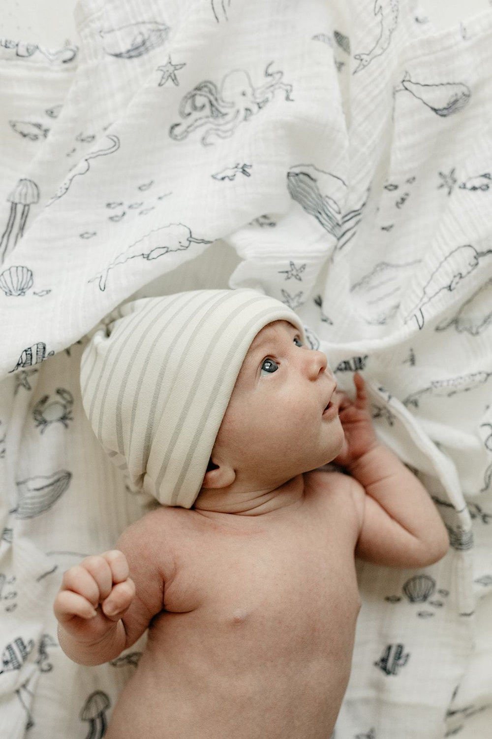 Baby lying on Pehr Marine Life Aquatic Organic Novelty Swaddles wearing Pehr Stripes Away Pebble Grey Organic Knot Hat. Organic cotton, hand printed. White with blue sea creatures pattern.